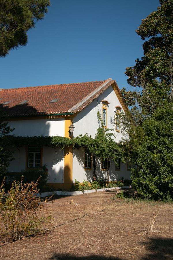 Quinta De Santana Da Varzea Abrantes Buitenkant foto