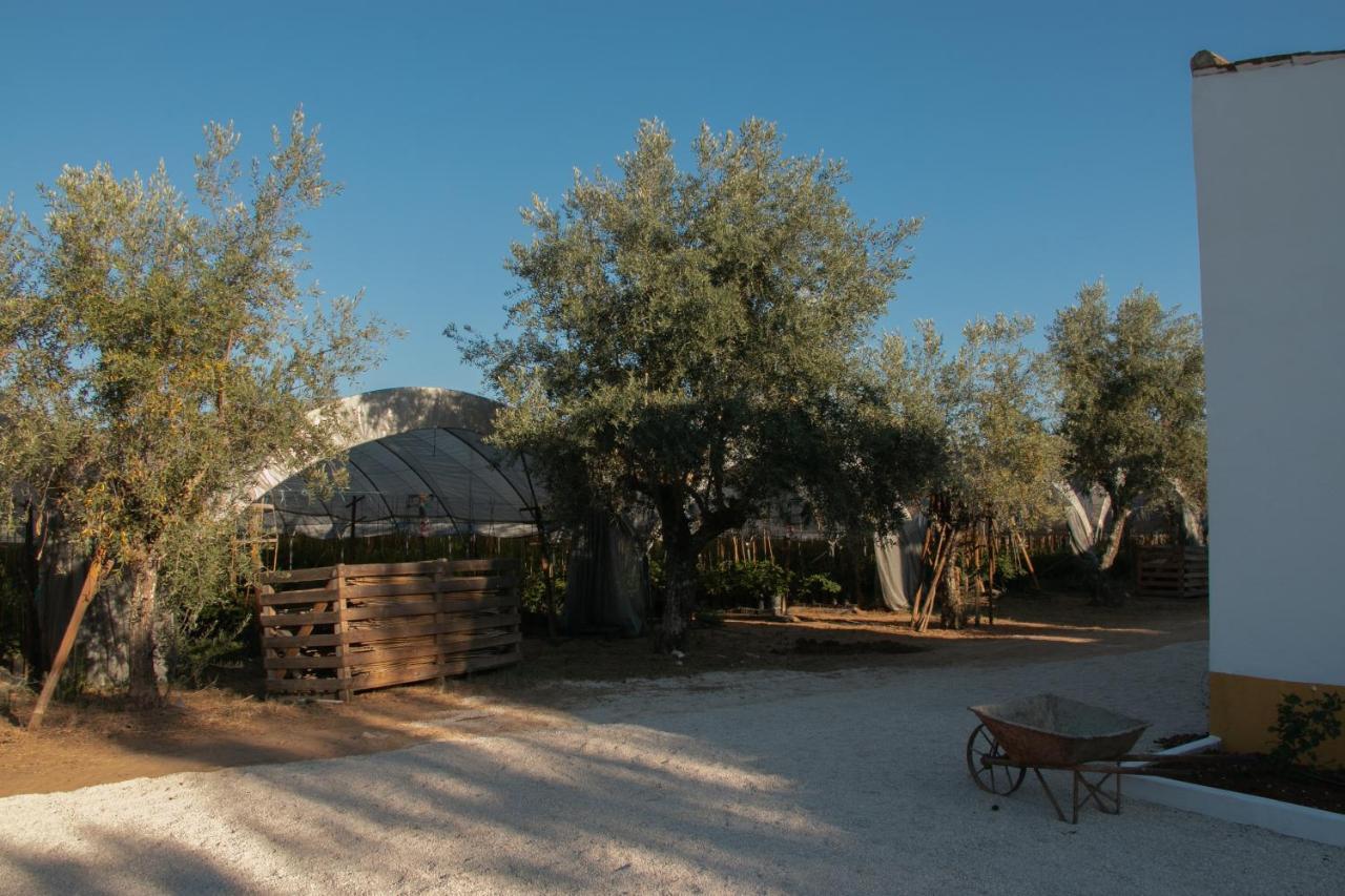 Quinta De Santana Da Varzea Abrantes Buitenkant foto
