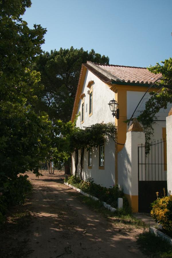 Quinta De Santana Da Varzea Abrantes Buitenkant foto