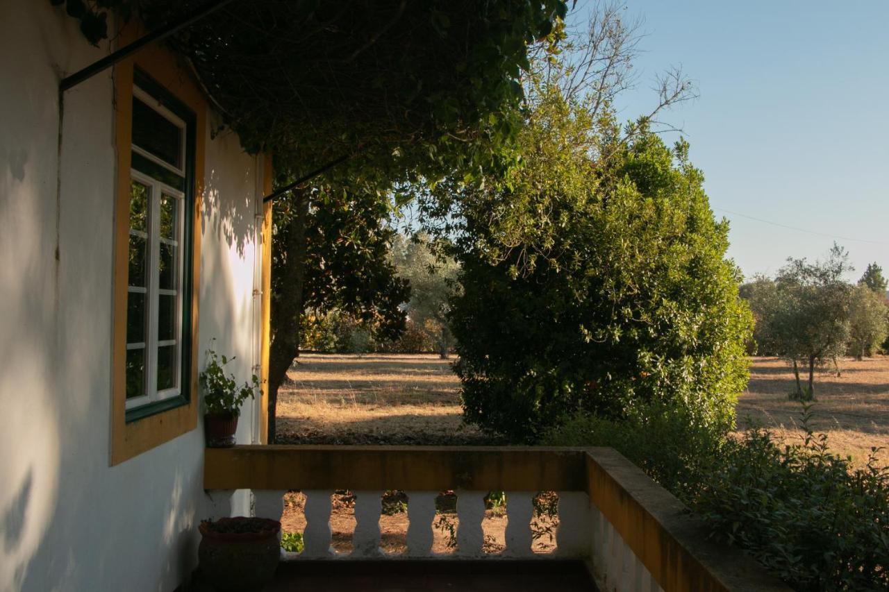 Quinta De Santana Da Varzea Abrantes Buitenkant foto