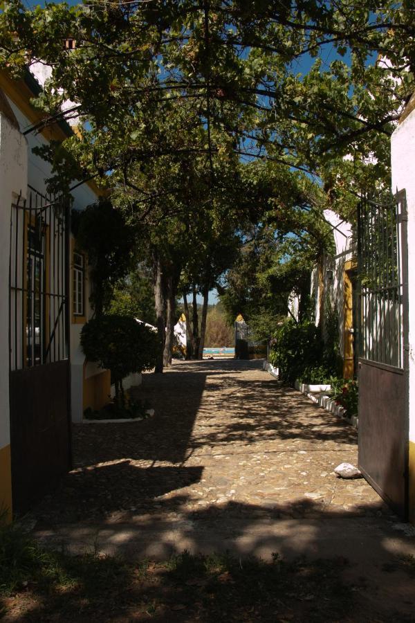 Quinta De Santana Da Varzea Abrantes Buitenkant foto