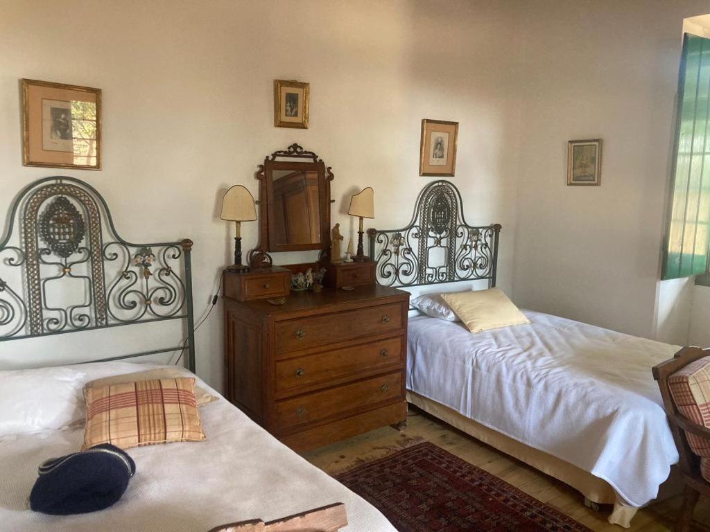 Quinta De Santana Da Varzea Abrantes Kamer foto